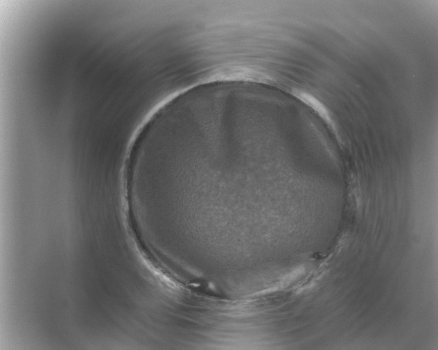 X0000071761120200607142355