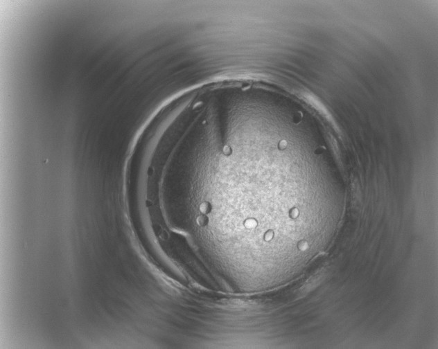 X0000071761124200607142355