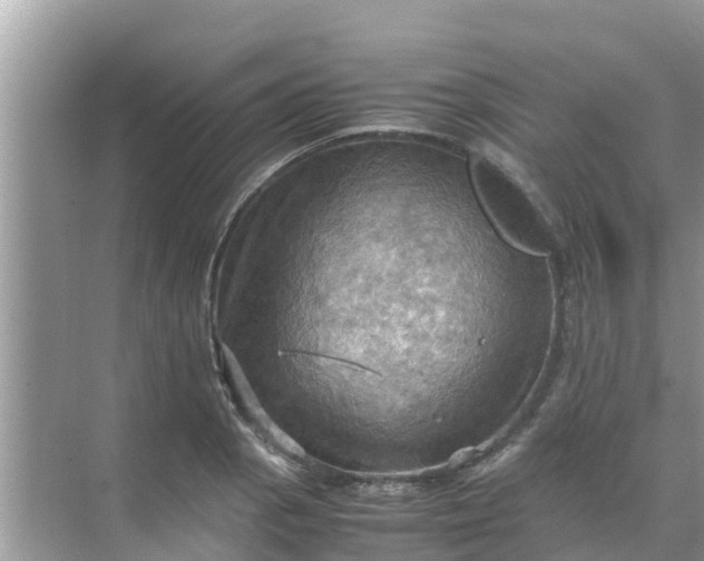 X0000071761129200607142355