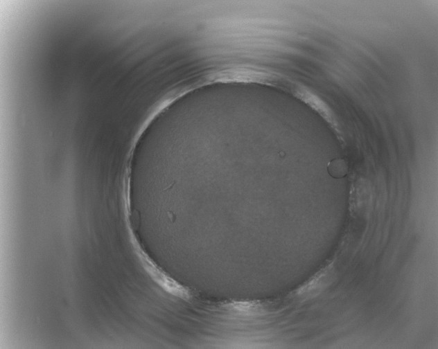 X0000071761130200607142355