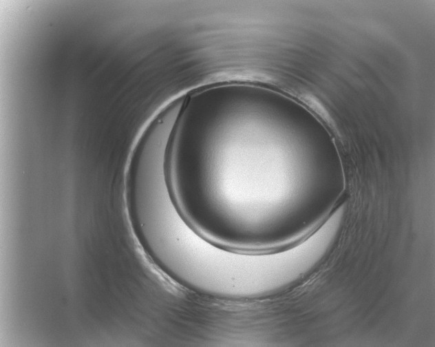 X0000071761132200607142355