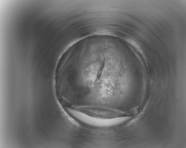 X0000071761133200607142355