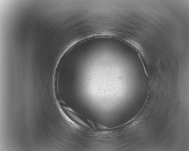 X0000071761135200607142355