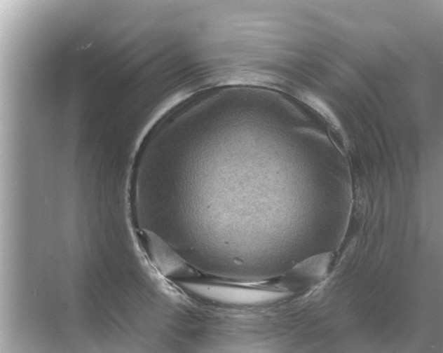 X0000071761138200607142355