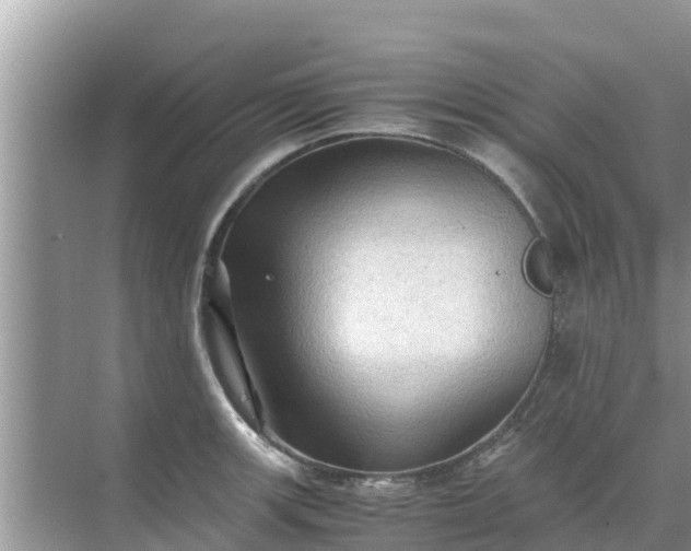 X0000071761139200607142355