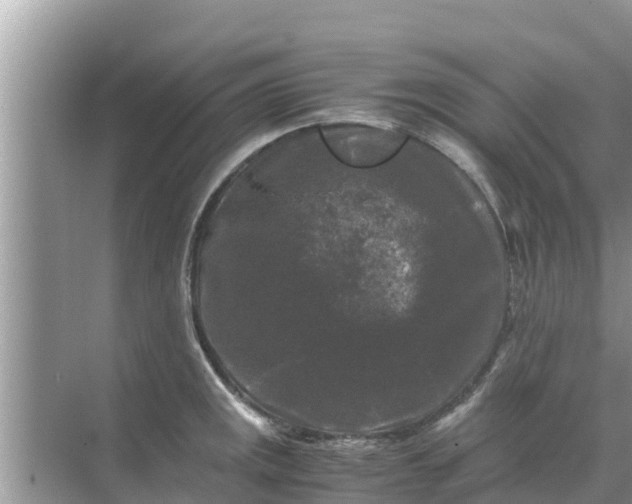 X0000071761141200607142355