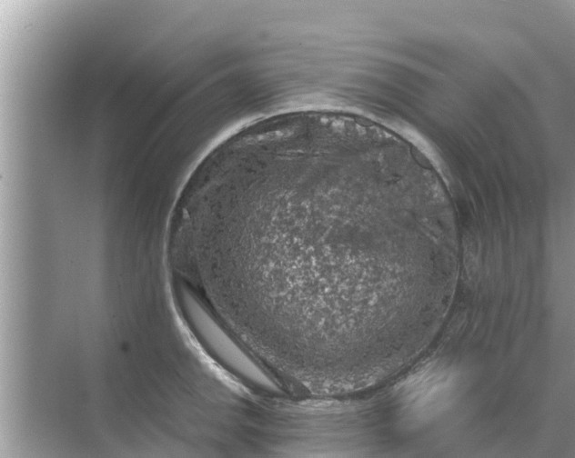 X0000071761142200607142355