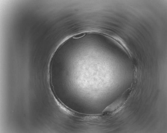 X0000071761143200607142356