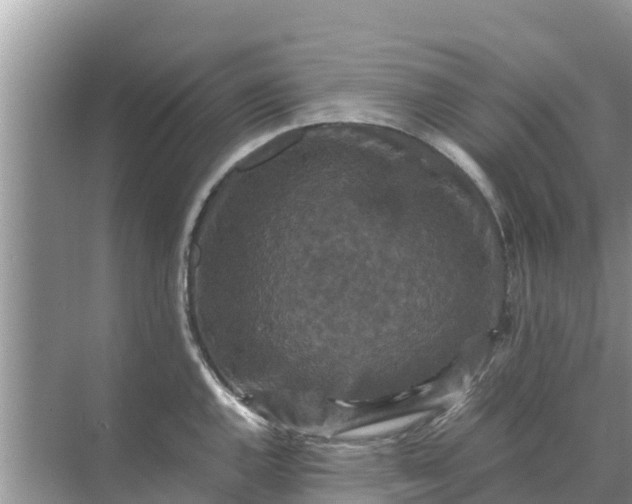 X0000071761144200607142356