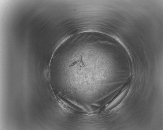 X0000071761145200607142356