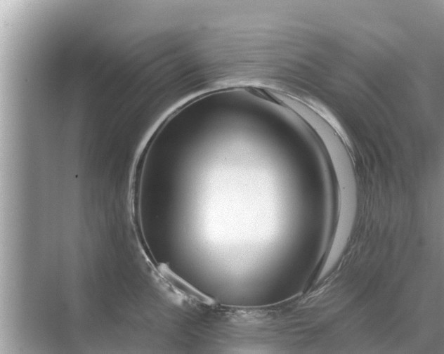 X0000071761148200607142356