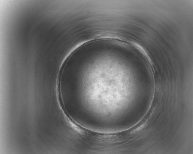 X0000071761149200607142356