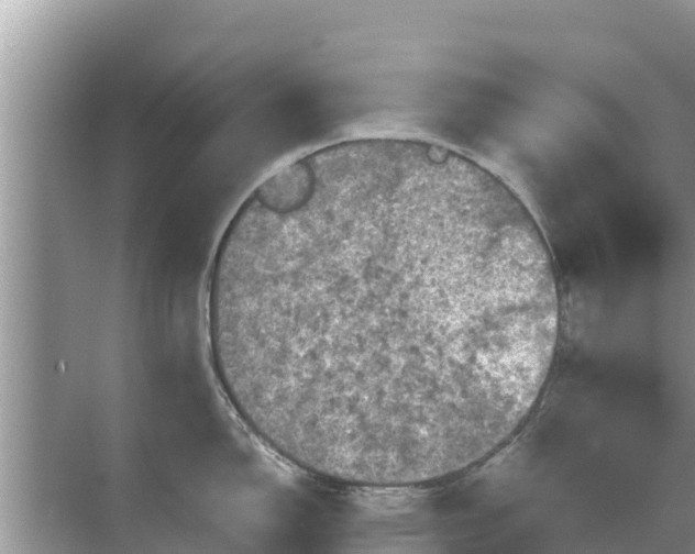 X0000071761150200607142356