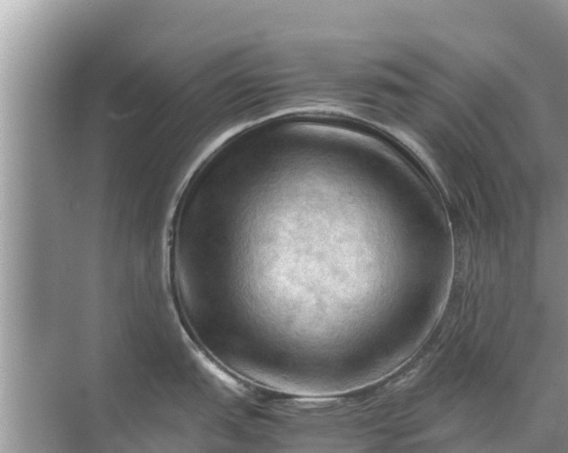 X0000071761151200607142356