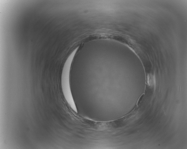 X0000071761155200607142355