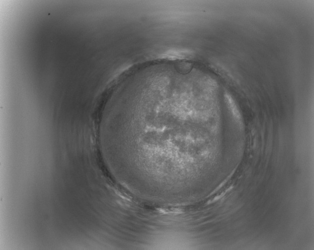 X0000071761158200607142355