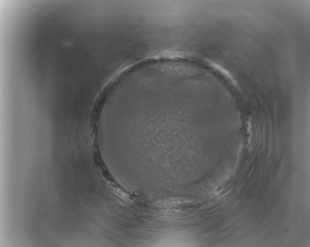 X0000071761160200607142355