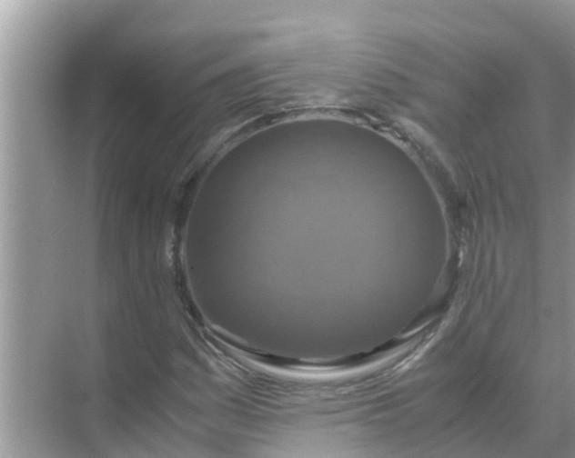 X0000071761161200607142355