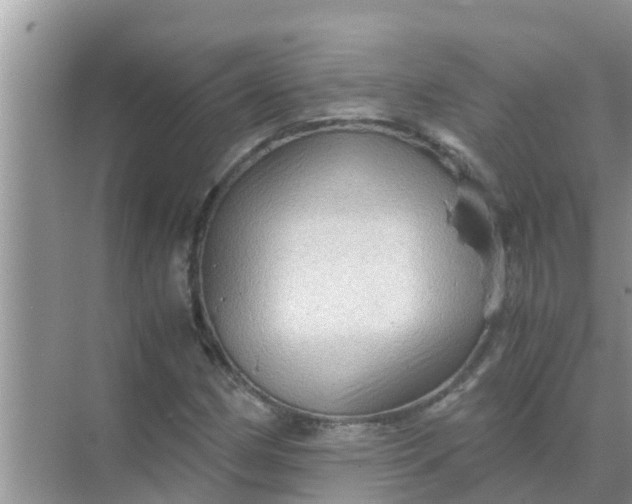 X0000071761162200607142355