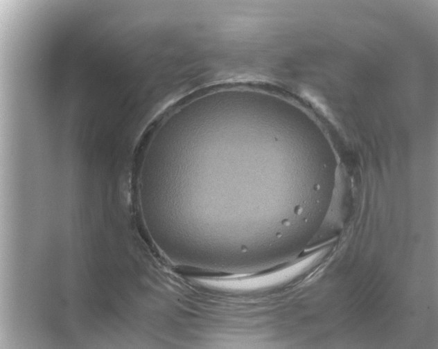 X0000071761165200607142355