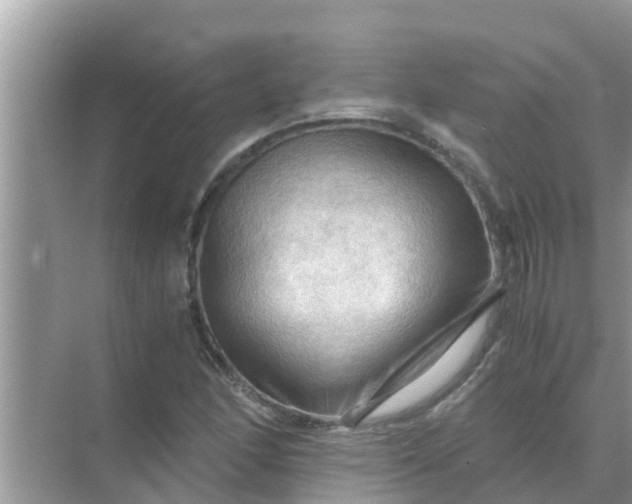 X0000071761166200607142355