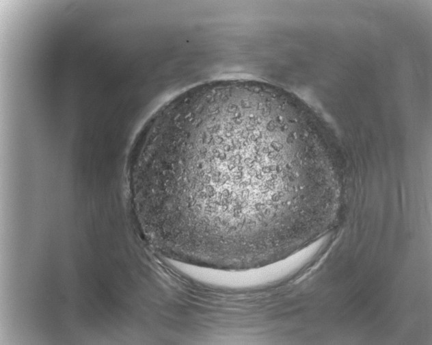 X0000071761167200607142355