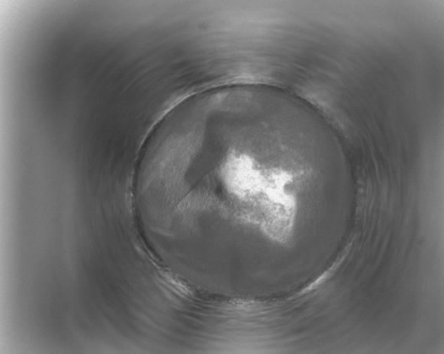 X0000071761170200607142355