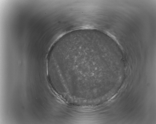 X0000071761171200607142355