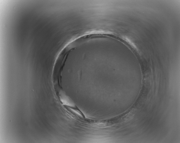 X0000071761173200607142355