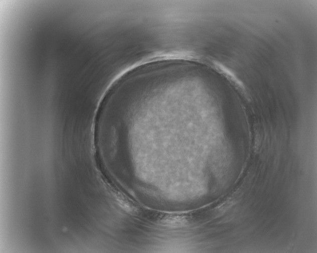 X0000071761174200607142355