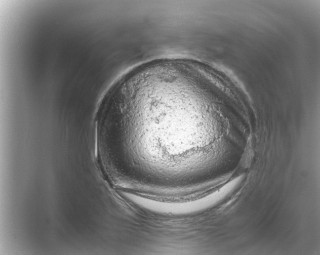 X0000071761175200607142354