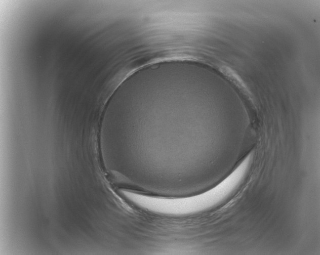 X0000071761177200607142354