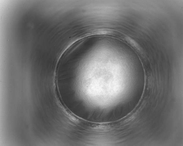 X0000071761178200607142354