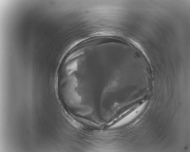 X0000071761179200607142354