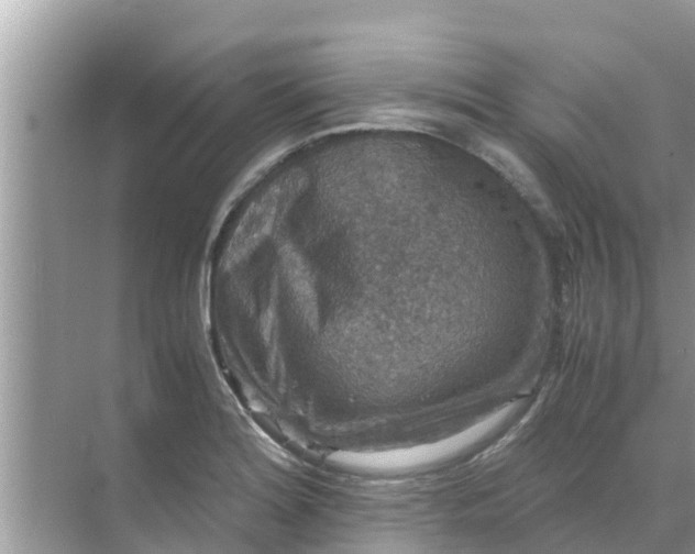 X0000071761180200607142354