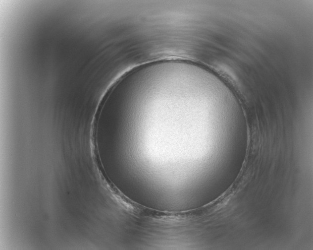 X0000071761182200607142354