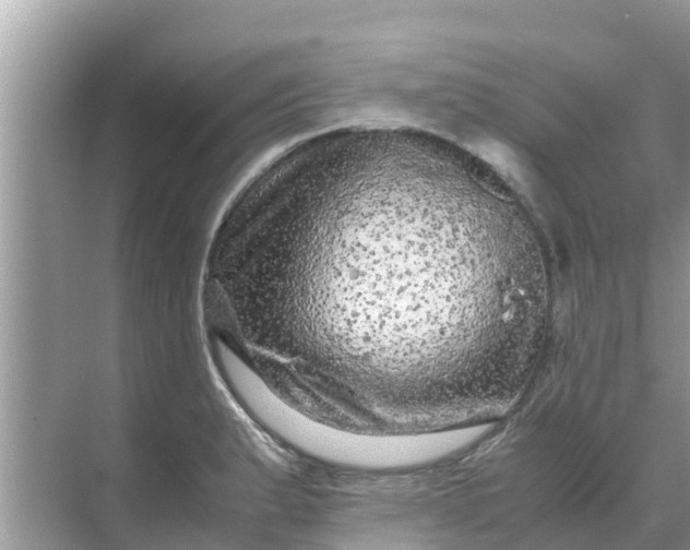 X0000071761183200607142354