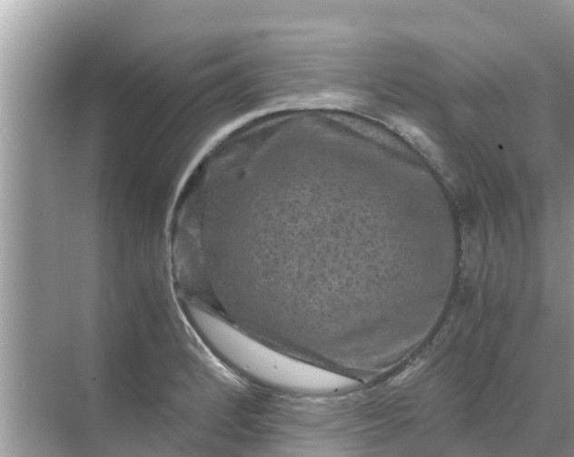 X0000071761184200607142354