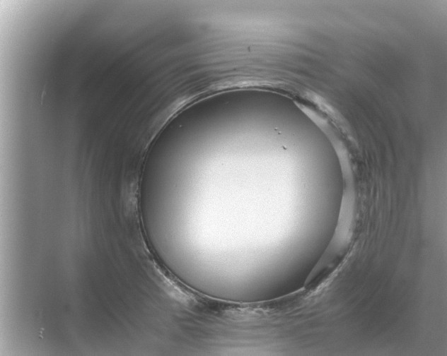 X0000071761185200607142354