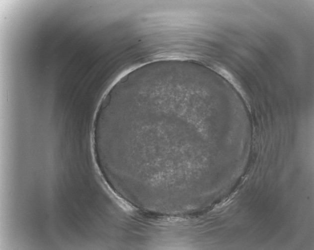 X0000071761187200607142354