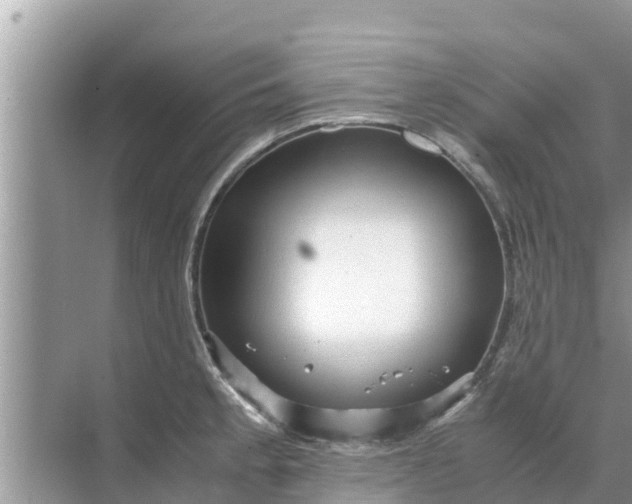 X0000071761189200607142354