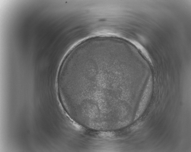 X0000071761191200607142354