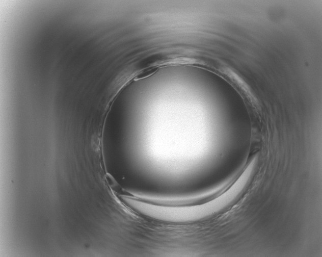 X0000071761193200607142354