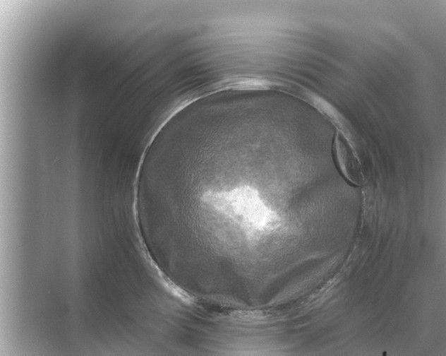 X0000071761194200607142354