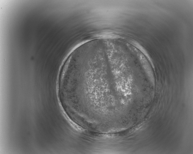 X0000071761195200607142354