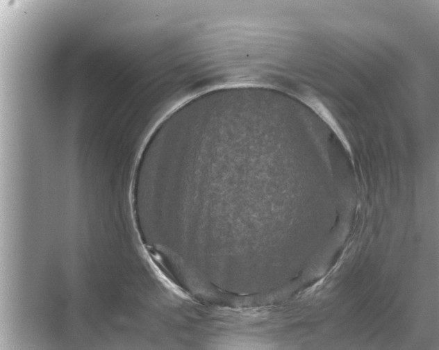 X0000071761197200607142354