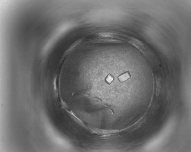 X0000071761198200607142354