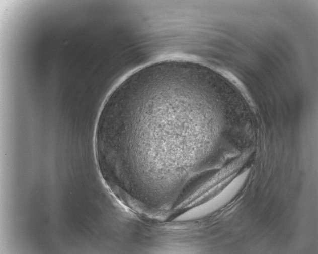 X0000071761199200607142354