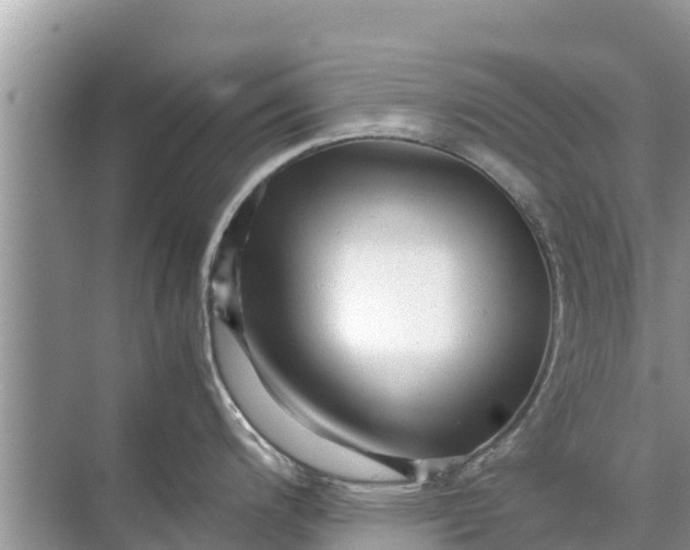 X0000071761200200607142354