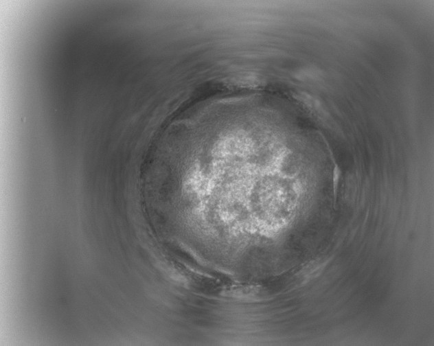 X0000071761201200607142353